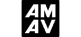 AMAV TOYS