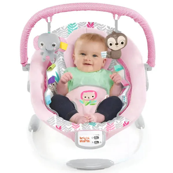 Bright Starts Rosy Vines Bouncer Seat (BRFS23) alternate