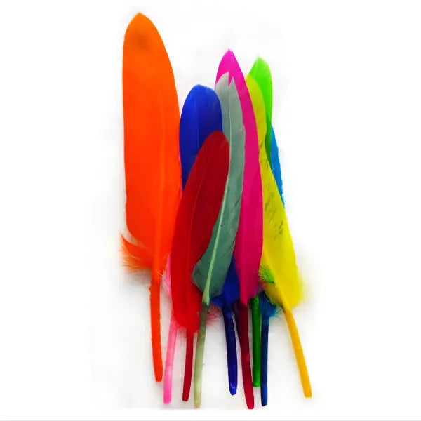 Feathers For Craft Works Multi Color Pack-Of 10 Pieces