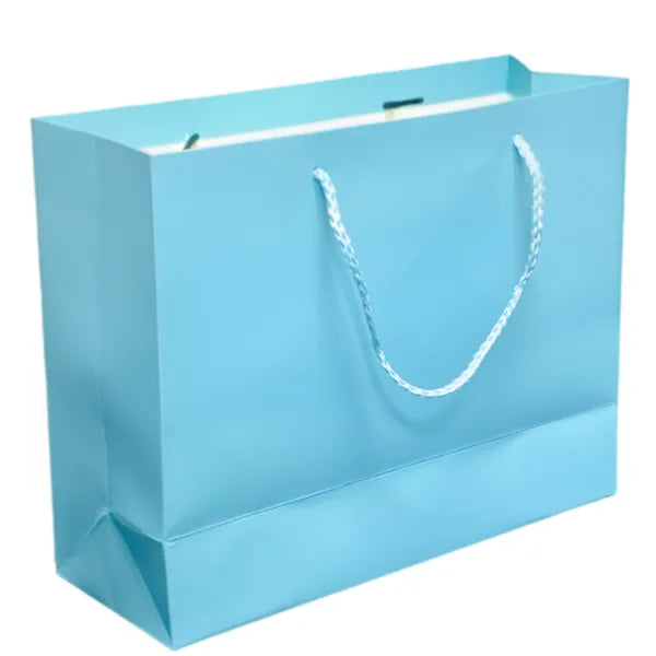 Gift Bag Medium Size Light Blue Color-25X20X9CM