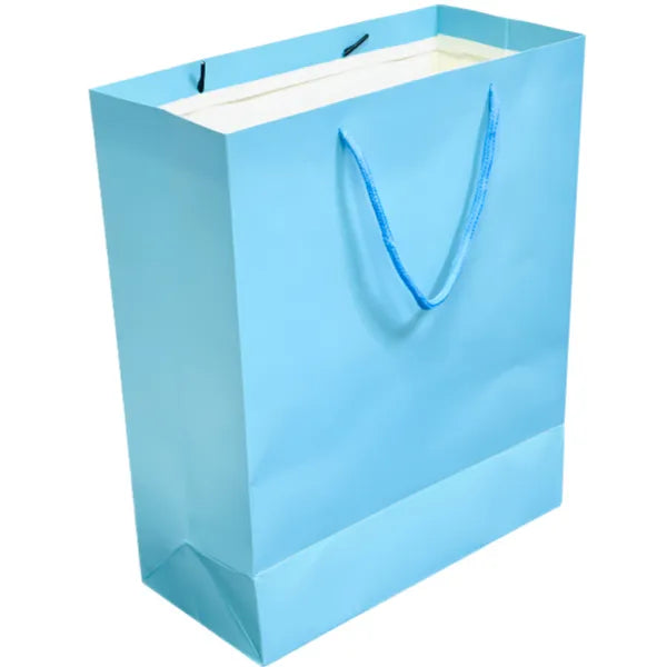 Solid Light Blue Gift Bag-Medium Size