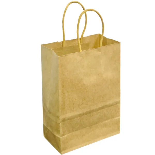 Gift Kraft Paper Bag Plain Brown Cover - Small alternate