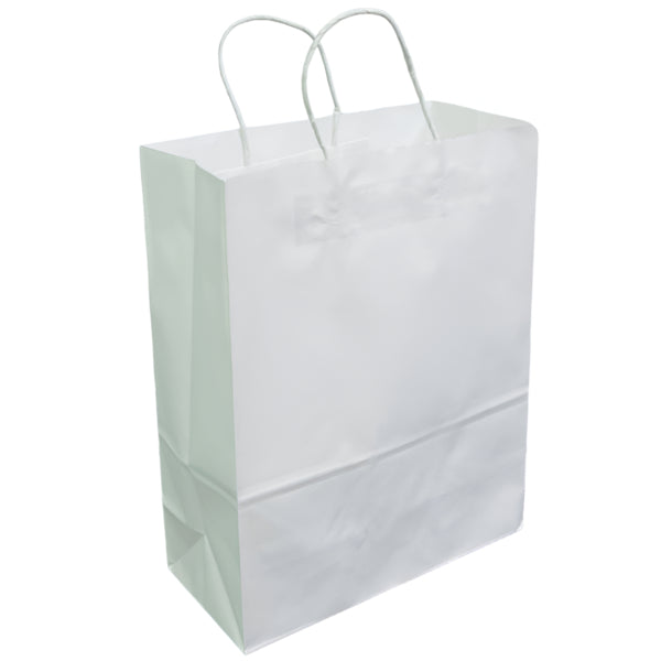 Gift Kraft Paper Bag Plain White Color-22X16X8 Cm