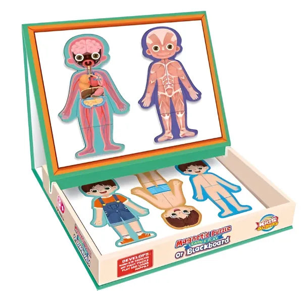 Montessori Human Body Anatomy Magnetic Puzzle with Drawing Board – Boy Edition alternate