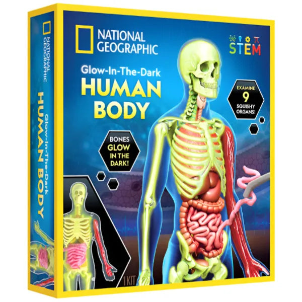 National Geographic Glow in the Dark Human Body